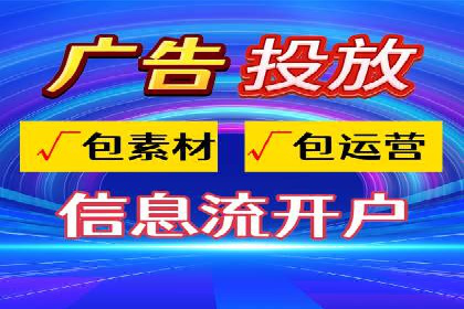 顶级SEM服务公司案例解析